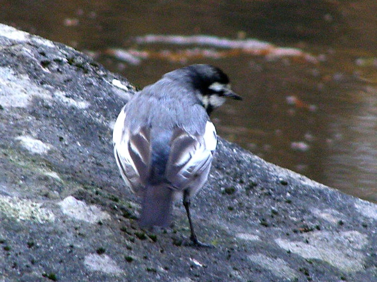 e0064158_11726.jpg