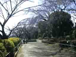 a0055866_130272.jpg