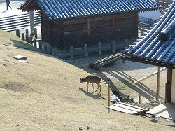 e0041168_10351522.jpg