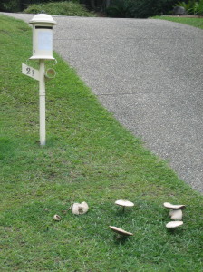 c0105474_18145219.jpg