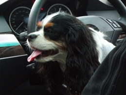 f0030875_20585377.jpg