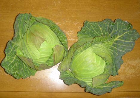 a0004180_184775.jpg