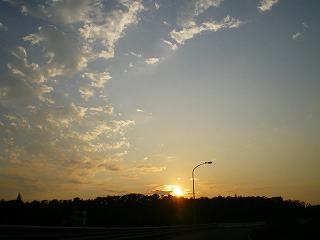 d0072481_1242920.jpg
