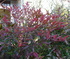 e0026586_20431995.jpg