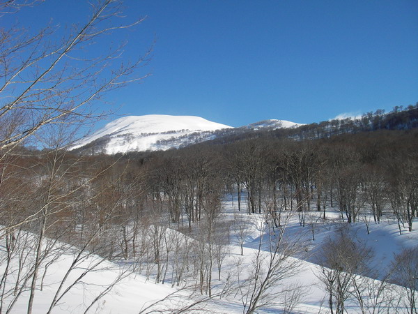 a0043193_19544439.jpg
