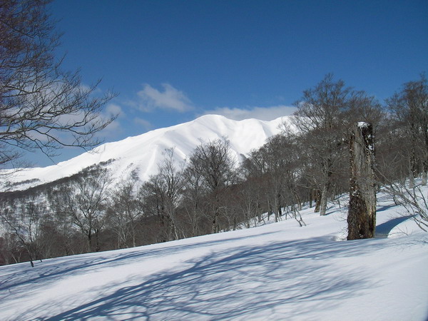 a0043193_19562186.jpg