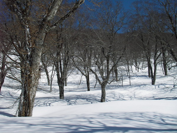 a0043193_1956339.jpg