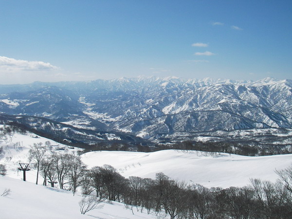 a0043193_2052524.jpg