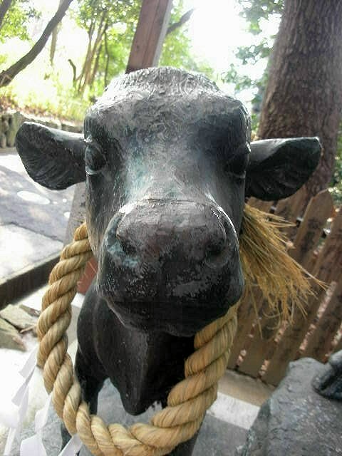 f0083400_18184657.jpg
