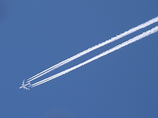 d0080601_19262367.jpg