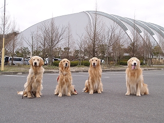 d0080601_2014432.jpg