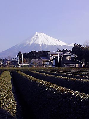 c0067206_17213473.jpg