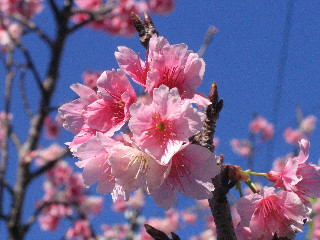 f0127610_2310533.jpg