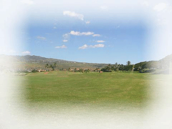a0055913_06966.gif