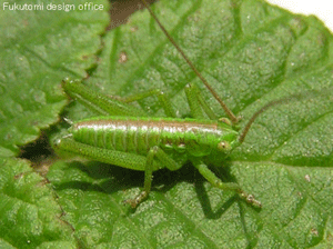 a0055913_07523.gif