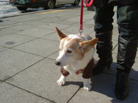 e0007313_2249431.jpg