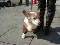 e0007313_22525115.jpg