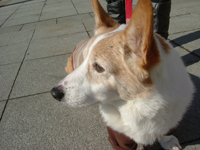 e0007313_22561363.jpg
