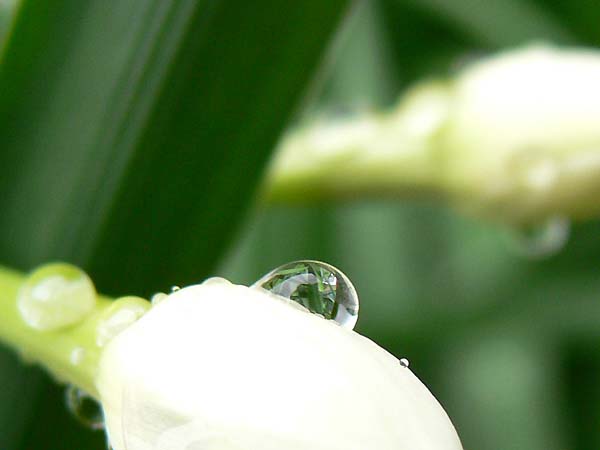 a0040522_2283100.jpg