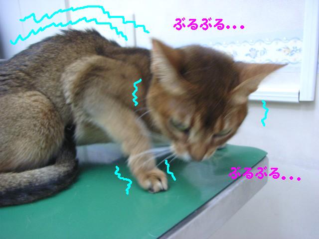d0081025_20184925.jpg