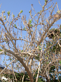 f0075847_19263617.jpg
