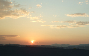 f0075847_203462.jpg