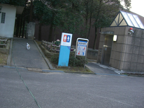 f0108553_22221471.jpg