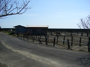 f0067354_18575981.jpg