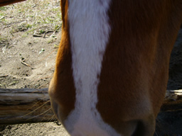 f0067354_1931772.jpg