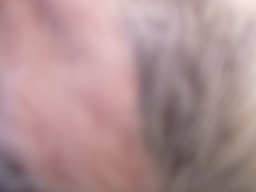 f0067354_1935515.jpg