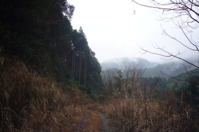 a0052156_21292024.jpg