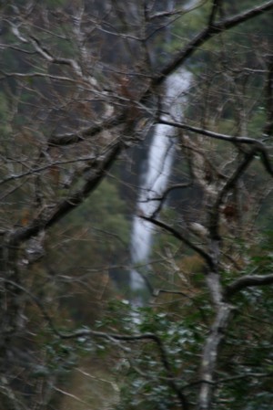 a0052156_21453192.jpg