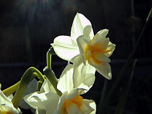 c0031856_1913162.jpg
