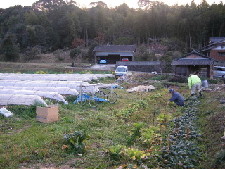 f0043559_15964.jpg