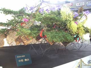 a0066965_249237.jpg