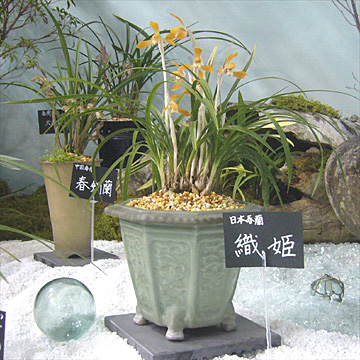 c0068168_1004771.jpg