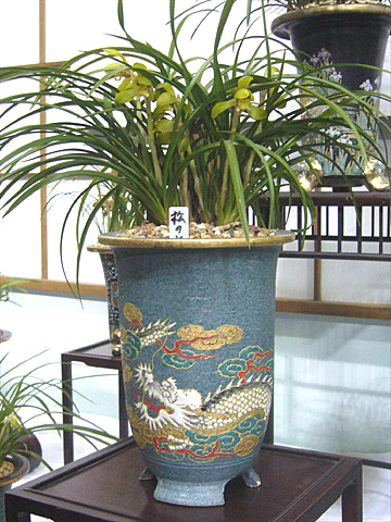 c0068168_100691.jpg