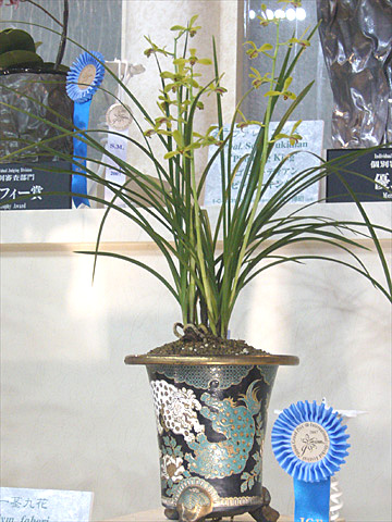 c0068168_9594054.jpg
