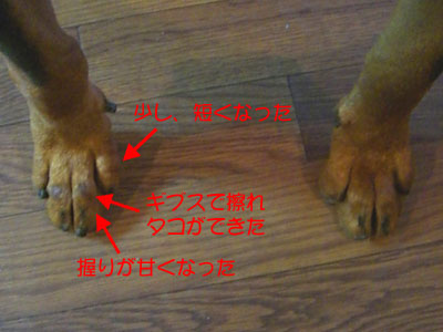 f0025769_20415966.jpg