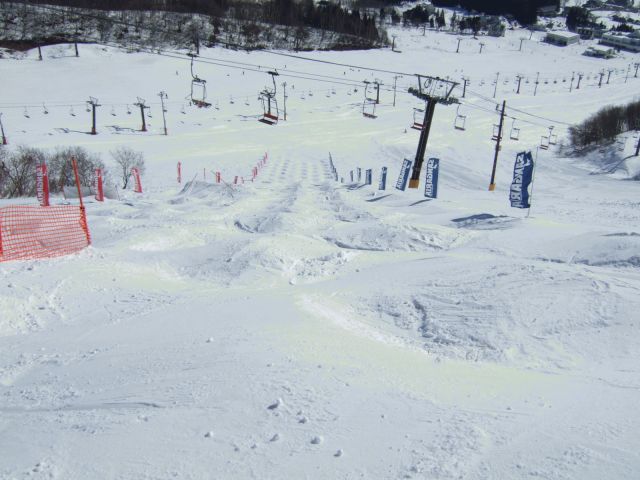 e0039871_19491799.jpg