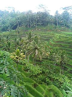 f0054677_10595822.jpg