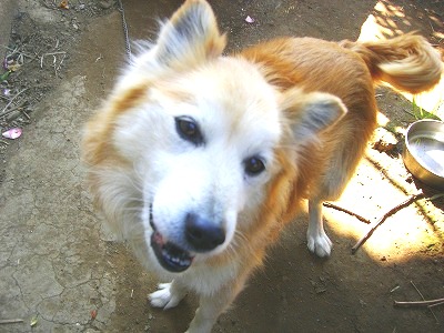 c0078480_21565445.jpg