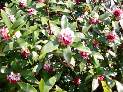 c0078480_2204439.jpg