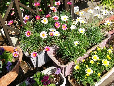 c0078480_2211569.jpg