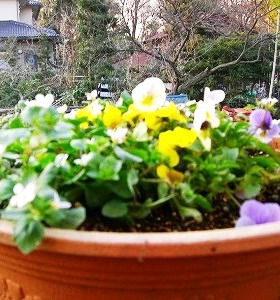 c0078480_2233248.jpg
