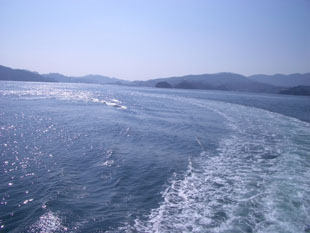 f0079980_1155774.jpg