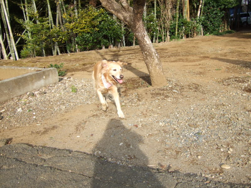 c0104492_19341437.jpg
