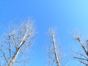 c0096393_17564518.jpg