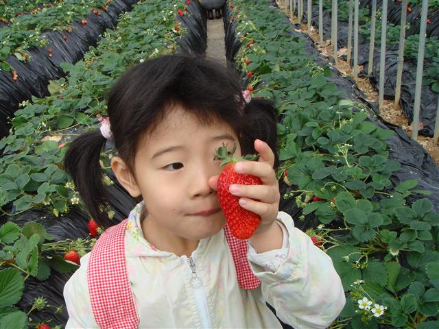 d0091193_0142837.jpg