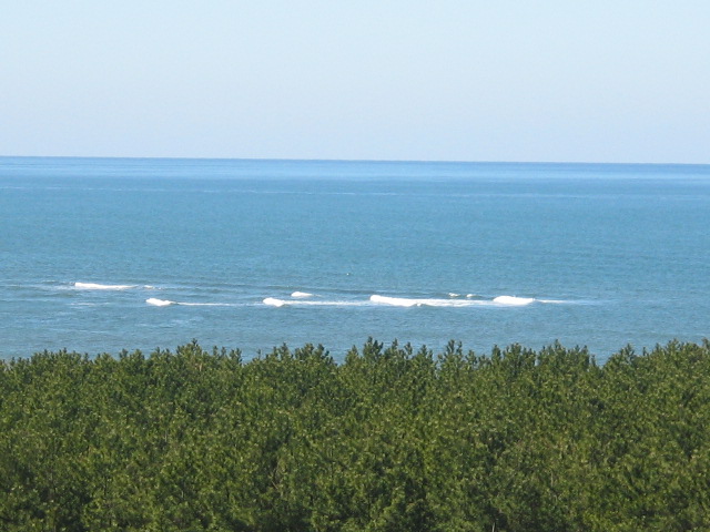 f0047693_23374952.jpg